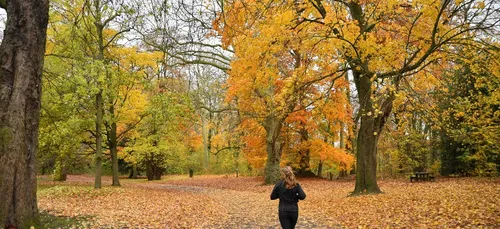 Les parcs et jardins restent fermés à Lille