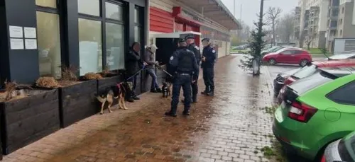 Nouvelle opération anti stup, dans le Nord