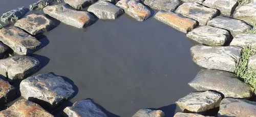 Des pavés volés, après le Paris-Roubaix