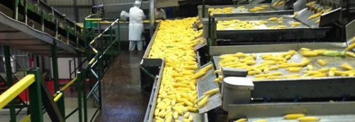 Emploi : Bonduelle recrute à Renescure