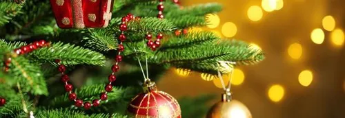 Toulouse : Ils dérobent un sapin de Noël installé place du Capitole...