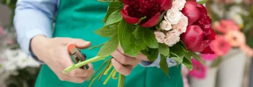 La boutique "Pivoine & Compagnie" à Marcq-en-Barœul recrute un...