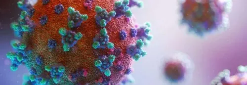 « Reprise incontrôlée de l’épidémie » pour le 19 janvier : Voici...