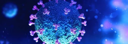 Covid en France : 25 000 patients actuellement hospitalisés et 400...