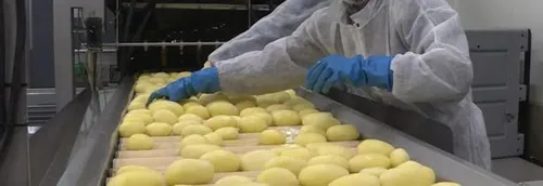 La société Billaut à Wavrin recrute un opérateur de tri de pommes...