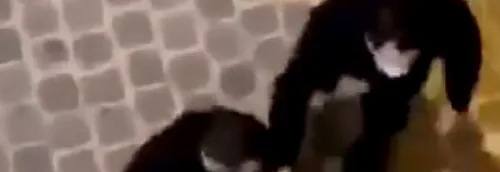 La vidéo des propos homophobes tenus par des policiers lors d'une...