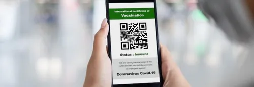 Le Conseil constitutionnel donne son feu vert à l'usage du "pass...