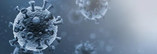 Covid : Des « signaux d’alerte » relevés en Occitanie et en...