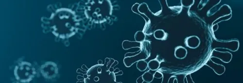 Traitement contre le Coronavirus : l'Institut Pasteur de Lille va...