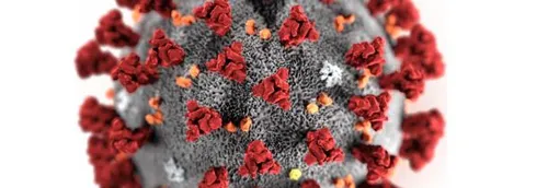 140 cas, a priori, de variant Delta dans les Hauts-de-France au...