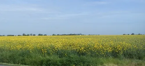 Le collectif « contre Bayer-Monsanto Lorient » appelle à un...