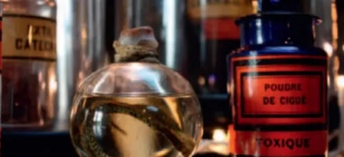 A Redon, les 10 ans de la médiathèque “Jean Michel Bollé”