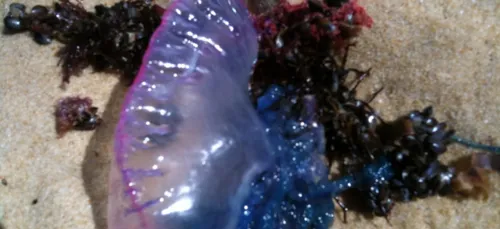 Alors que ce sont les vacances et que le temps est agréable...