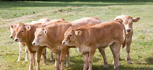 Crédin : début de l'opération de reclassement des 115 salariés de...