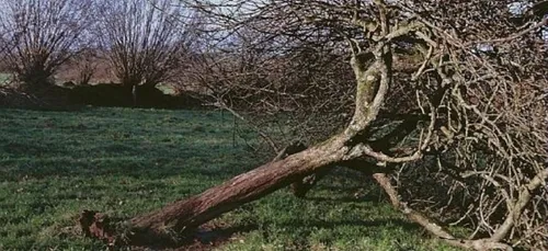 Le bilan de la tempête Carmen