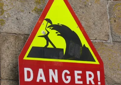 Après Carmen... voici Eleanor