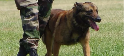 Disparition inquiétante en Côtes d'Armor