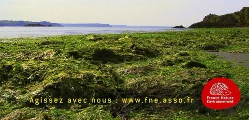 La Bretagne entre dans une nouvelle phase de lutte contre les...