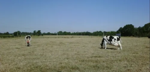 Mobilisation de la Coordination Rurale, demain midi à Missiriac...