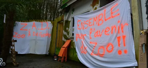 Le collectif des salariés du zoo de Pont -Scorff suspend sa grève...