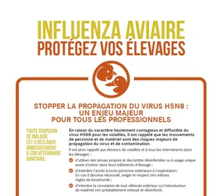 3 cas d’Influenza Aviaire « faiblement pathogène » détectés dans le...