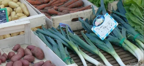 Action de la FNSEA hier dans plusieurs grandes surfaces bretonnes