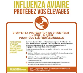 Après l'abattage, place au nettoyage et à la désinfection