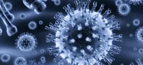 L'épidémie de rougeole continue sa lente propagation en Bretagne