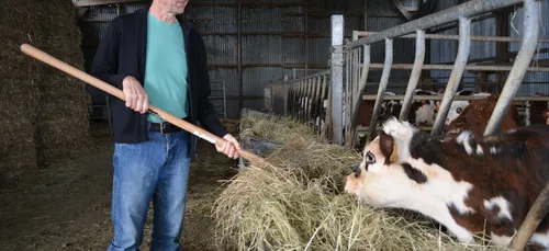 Malgré les difficultés du secteur, l'agriculture continue d'attirer...