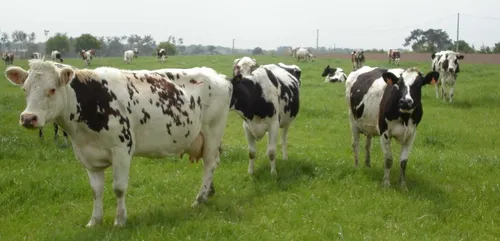 L'expansion de l'agriculture bio ne fait plus aucun doute en...