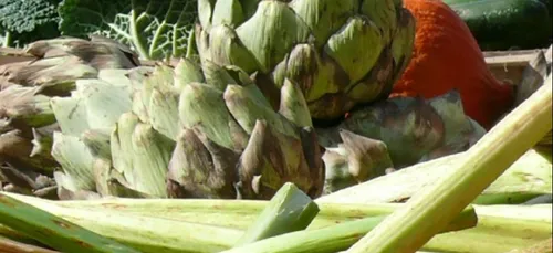 3ème édition de la Fête des Jardins à Tréveneuc