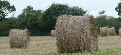 La FDSEA 56 en colère