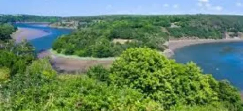 Devenir propriétaire d'un arbre, dans une forêt, c'est ce que...