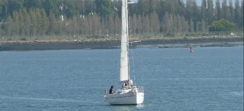 Perdu dans la brume...