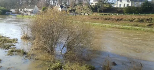 Alerte au ragondin en Côtes d'Armor