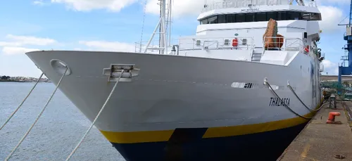 Comment se portent les anchois et les sardines françaises ?