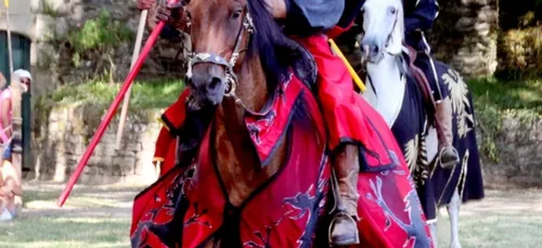 Fêtes Médiévales de Bretagne 2018