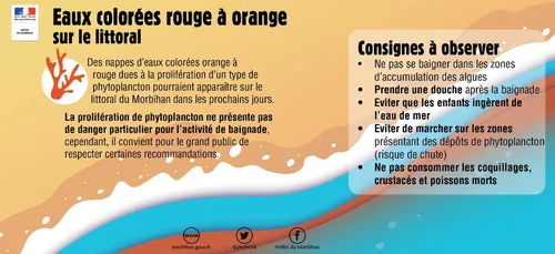 Marée orange en Bretagne sud.