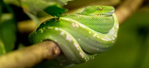 ST Nazaire va bientôt disposer d'un bar d'un nouveau genre