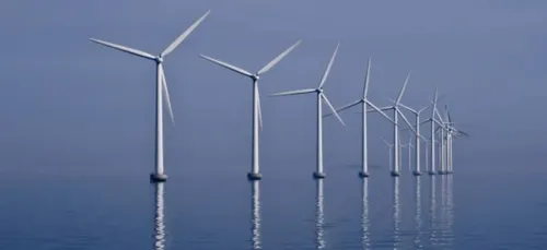 Une mission scientifique sur l'île de Groix