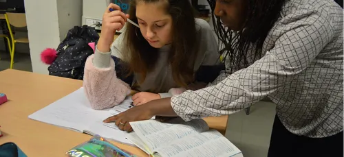 175 AVS non renouvelés en Côtes d'Armor