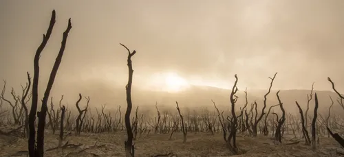 Les rassemblements pour le climat ont inégalement mobilisé ce WE en...
