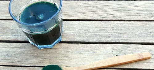 Sarzeau va accueillir un grand centre d'étude autour de la spiruline