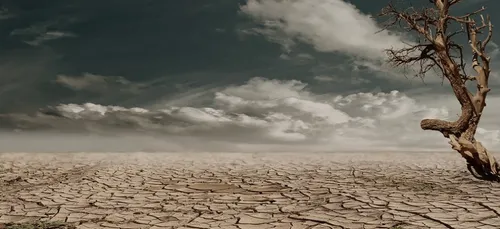 St Nazaire parmi les villes qui se mobilisent pour le climat