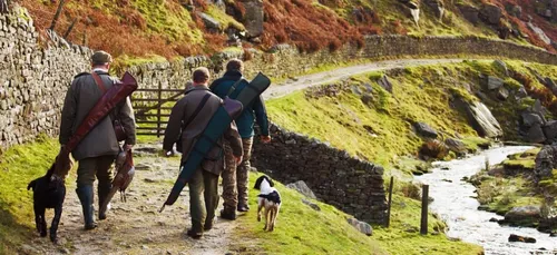 Nouvelles actions « anti-chasse » ce WE en Bretagne-Sud