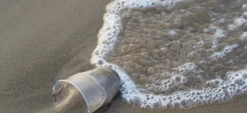 La société Paimpolaise Écocéane devient Normande