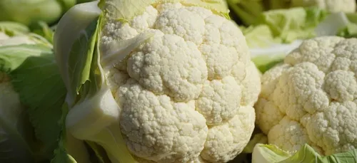 Les producteurs de choux-fleurs en colère