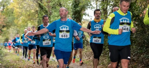 6e édition des Marcels de Plescop, ce WE