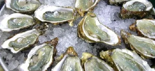Les huîtres seront moins nombreuses que d'habitude pour Noël
