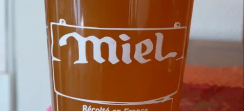 La Région Bretagne soutien la reconstitution du cheptel apicole